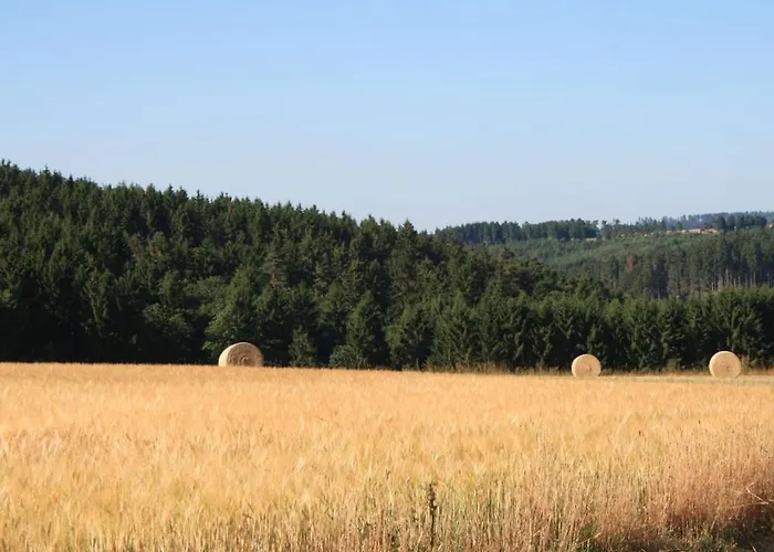 In Meiserich With Swimming Pool *